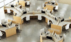 First Office Staks